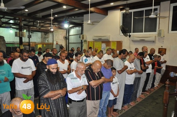 msajed amer qder 804 (35).JPG